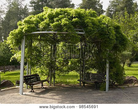 Pergola Gazebo In A Beautiful Garden