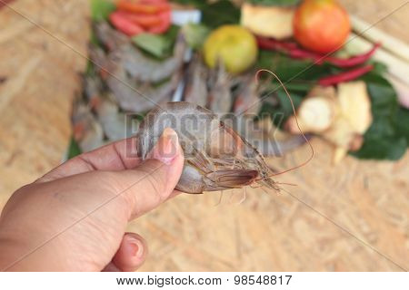 Shrimp and lemon chilli lemon grass kaffir lime leaves for soup spicy