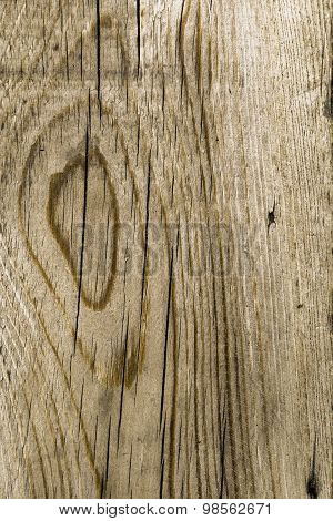 Old wood grain texture close-up background