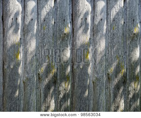 Old wood texture with natural patterns