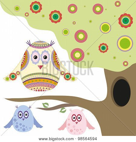 Owls