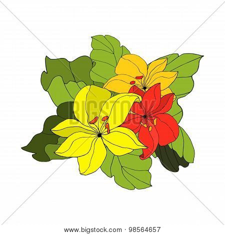 Floral Texture
