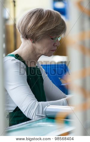 Portrait Of Working Woman