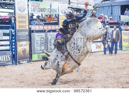 Last Cowboy Standing