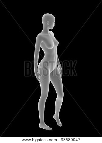 Woman Body