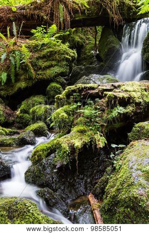 Serene Waterfall In The Forest