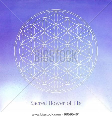 Flower of life vector illustration on the watercolor textured background