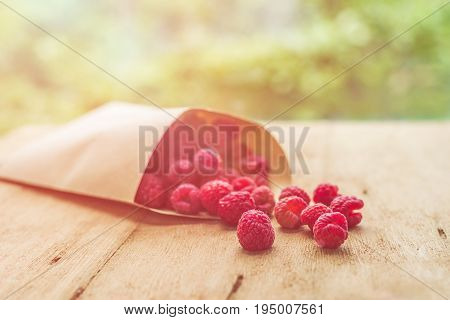 Summer Holiday, Vacation, Relaxation Concept. Raspberries, Straw Hat. Free Text Copy Space. Summer V
