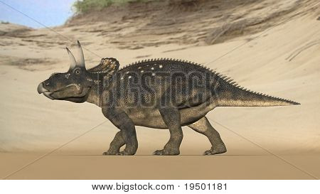 einiosaur en la playa