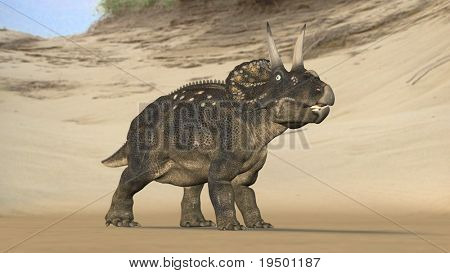 einiosaur en la playa
