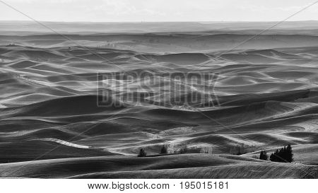 Black and White Palouse from Steptoe Butte