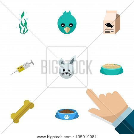 Flat Icon Pets Set Of Fish Nutrient, Seaweed, Bunny And Other Vector Objects. Also Includes Bunny, Bird, Nutrient Elements.