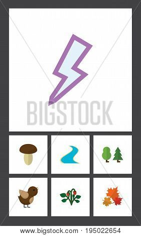 Flat Icon Ecology Set Of Canadian, Berry, Forest And Other Vector Objects. Also Includes Berry, Tributary, Fungi Elements.