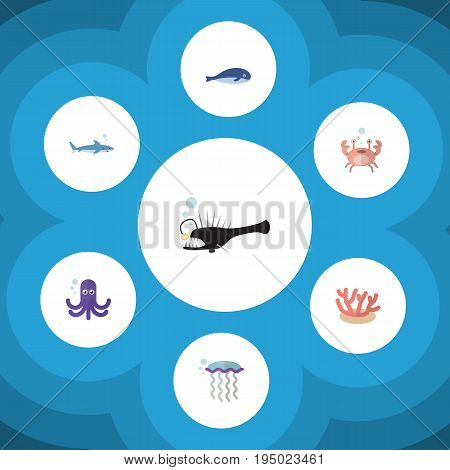 Flat Icon Marine Set Of Cachalot, Medusa, Cancer And Other Vector Objects. Also Includes Medusa, Tentacle, Coral Elements.