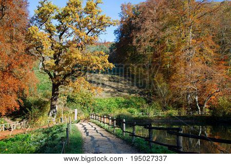 Wooden bridge at the Central Lake of the Ermitage Arlesheim. Autumn view