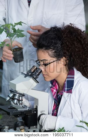 Biologists With Seedlings In Greenhouse