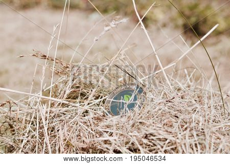 Gold Peercoin In Grass