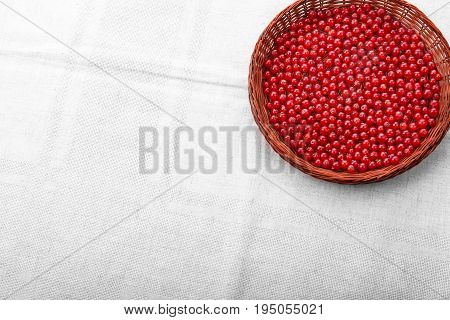 Red current in a light brown basket on a gray background. Berries full of vitamins. Delicious organic red berries. Nutritious foods for diet.