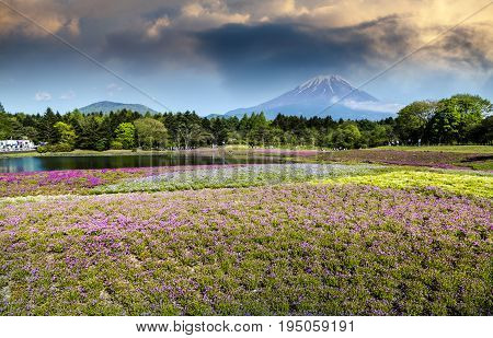 Spring Season In Japan With Fuji Mountain As Background