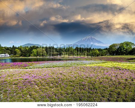 Spring Season In Japan With Fuji Mountain As Background