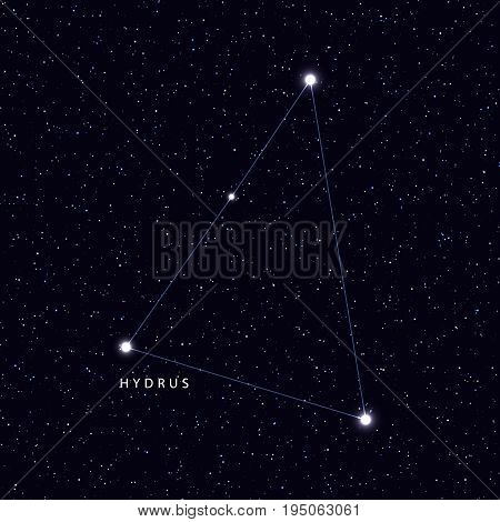 Sky Map with the name of the stars and constellations. Astronomical symbol constellation Hydrus