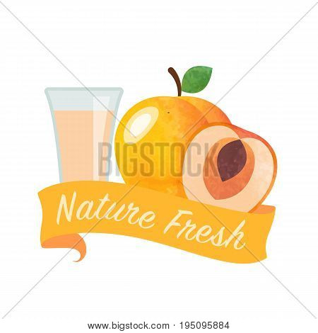 Colorful Watercolor Texture Vector Nature Organic Fresh Fruit Juice Banner Apricot