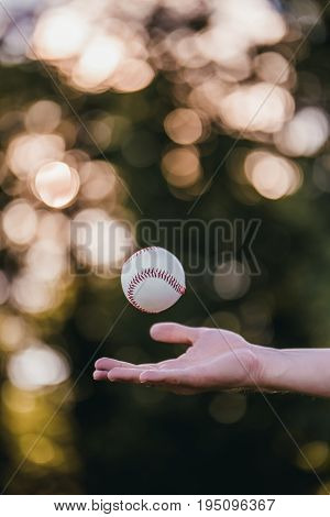 Baseball ball is tossed in the air. Cropped image of man catching baseball ball by hand.