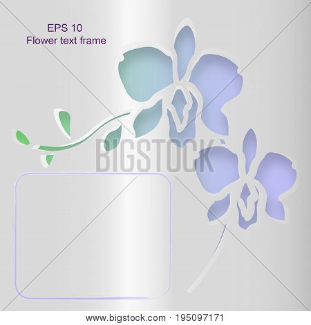 Orchid flower text frame vector. EPS 10