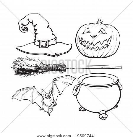 black and white witch accessories - pointed hat, caldron, jack o lantern, broom, bat, Halloween decoration elements, sketch vector illustration isolated on white background.