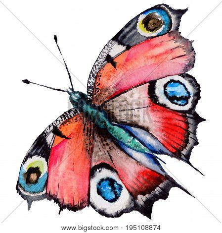 Exotic butterfly wild insect in a watercolor style isolated. Full name of the insect: butterfly. Aquarelle wild insect for background, texture, wrapper pattern or tattoo.