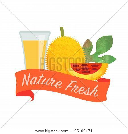 Colorful Watercolor Texture Vector Nature Organic Fresh Fruit Juice Banner Gac Fruit