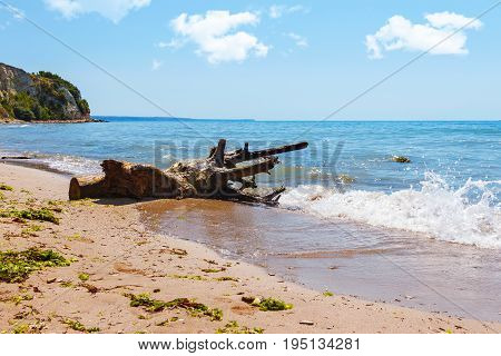 Black sea coast seascape with wood trunk on sand beach cliffs above azure water small wave splash blue sky.