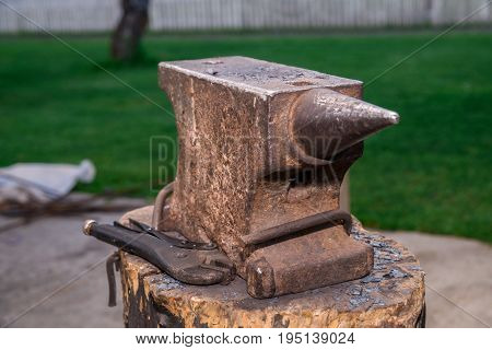 The Old Anvil Is On The Stump. Surrounded By A Beautiful Lawn, Summer Weather. Horizontal Frame