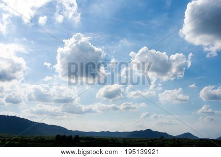 Water tree and sky with white cloud cover.