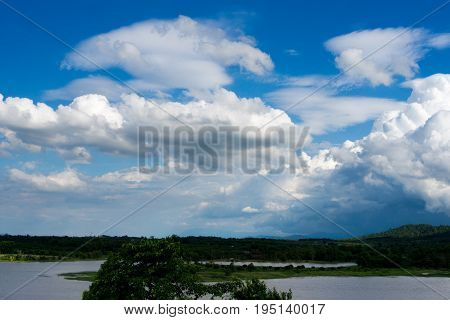 Water tree and sky with white cloud cover.