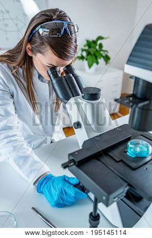 Young Scientist Working In Her Lab, One Woman Only, Toned Image