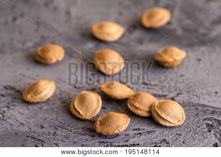 Apricot kernel on grey stone background. Vegetarian food