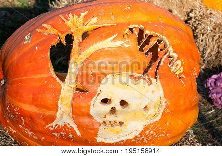 CHADDS FORD, PA - OCTOBER 26: View of The Great Pumpkin Carve carving contest on October 26, 2013