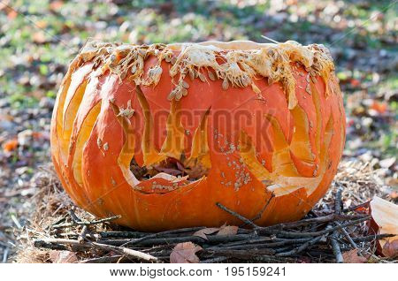 CHADDS FORD, PA - OCTOBER 26: View of The Great Pumpkin Carve carving contest on October 26, 2013