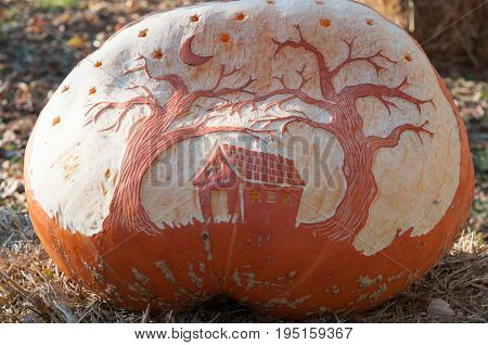 CHADDS FORD, PA - OCTOBER 26: View of The Great Pumpkin Carve carving contest on October 26, 2013