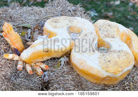 CHADDS FORD, PA - OCTOBER 26: View of Snake Pumpkin at The Great Pumpkin Carve carving contest on October 26, 2013