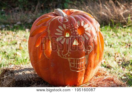 CHADDS FORD, PA - OCTOBER 26: View of Skull Pumpkin at The Great Pumpkin Carve carving contest on October 26, 2013