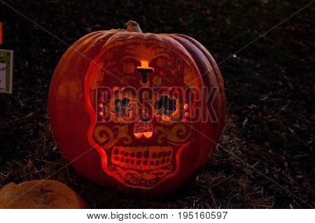 CHADDS FORD, PA - OCTOBER 26: View of Skull Pumpkin at The Great Pumpkin Carve carving contest on October 26, 2013