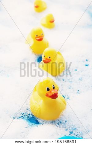 Row of Rubber Ducks in Bubble Bath