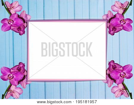 Mocap, background from a blank white screen with a pink frame on a light blue metal table with sprigs of lilac orchids for certificates, invitations, cards, greetings, horizontal, mock up