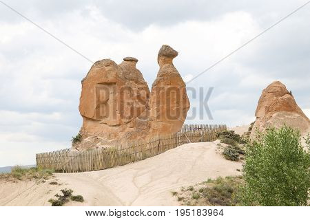 Camel Shaped Rock Formation In Devrent Valley, Cappadocia