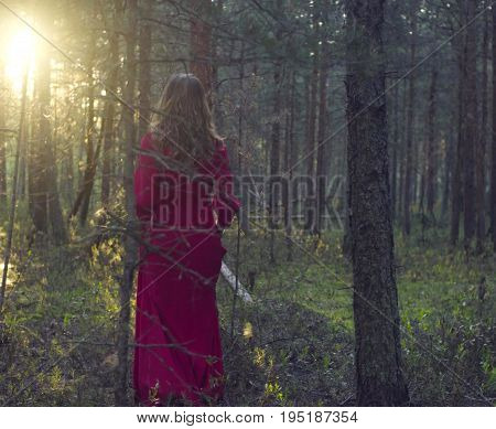 Dolly shot of young beautiful woman in red dress walking in the forest. Rear view