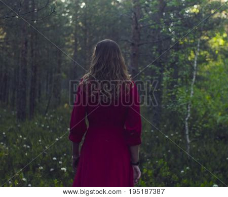 Dolly shot of young beautiful woman in red dress walking in the forest. Rear view