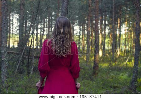 Dolly shot of young beautiful woman in red dress walking in the forest. Rear view