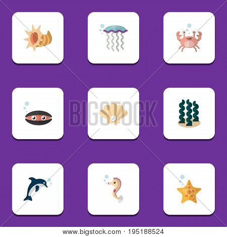 Flat Icon Marine Set Of Sea Star, Conch, Alga And Other Vector Objects. Also Includes Alga, Lobster, Underwater Elements.